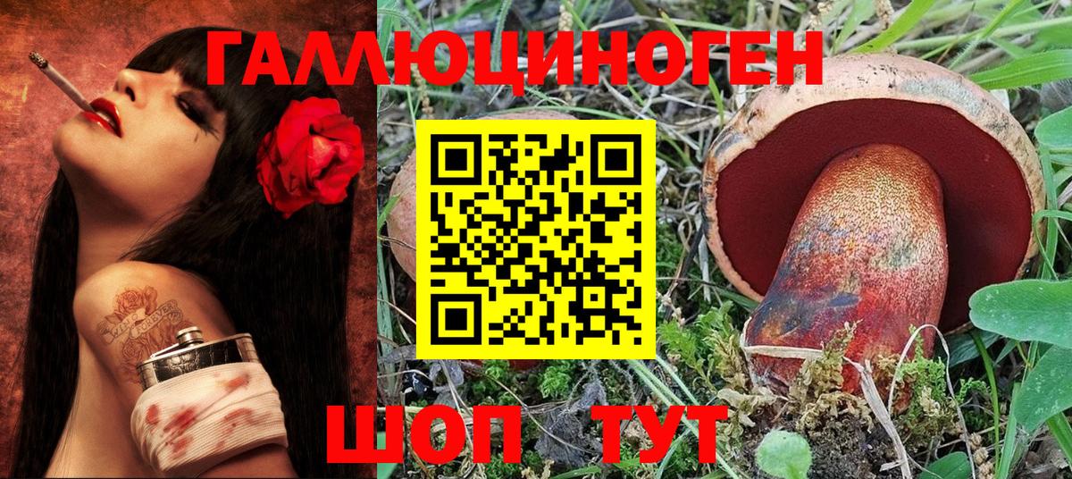 Псилоцибиновые грибы MAGIC MUSHROOMS Борзя