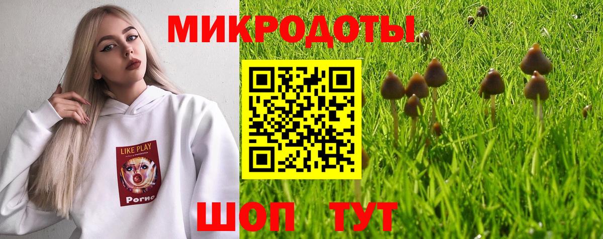 Галлюциногенные грибы мицелий  где продают наркотики  Борзя  Псилоцибиновые грибы Psilocybine cubensis  Вход с VPN 